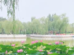 -丰台花园