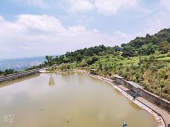 -铁山坪森林公园