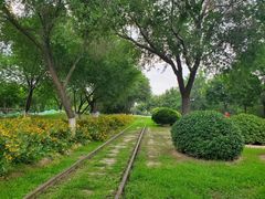 -永定河休闲森林公园