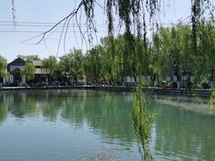 -百花洲