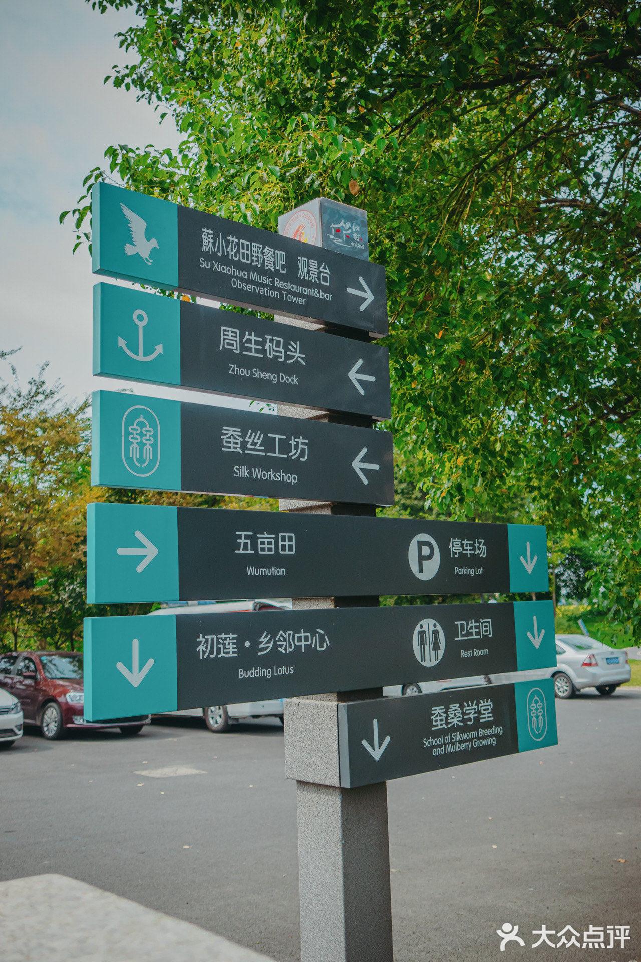 苏州震泽网红打卡地苏小花cafe