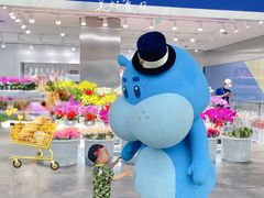 -盒马X会员店(王府井奥莱UP TOWN店)