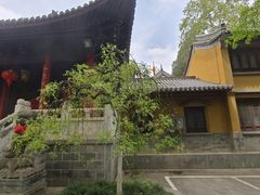 -灵谷景区