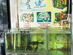-凯盈阁·顺德私房菜·桑拿鸡
