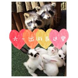 -萌宠亲子动物乐园(槐房万达店)