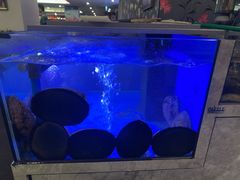 -渔洲情海鲜酒家