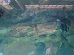 -波塞冬旅游度假区