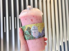 -野萃山·潮汕厚果汁(十亩地店)
