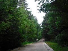 -五营红松林海景区