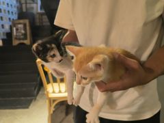 -自由生长植物工作室(深港花卉中心店)