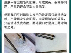 -伊藤洋华堂(高新店)