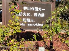 -香山公园