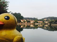 -明珠海港大酒店