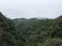 -九龙江国家森林公园