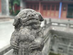 -房湖公园