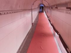 -洞庭洲·防空洞火锅·铜锅涮肉·烧烤(新百广场店)