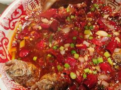 -欧记大排档·景德菜(上海首店)