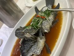 -骏莱海鲜鱼港(五角场店)