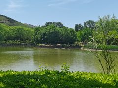 -石家庄市动物园