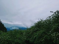 -硗碛藏寨·神木垒景区