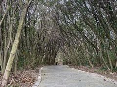 -上海吴淞炮台湾国家湿地公园
