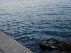 -大理洱海