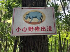 -龙井村