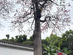 -柳侯公园