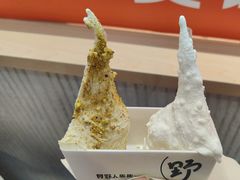 -野人先生现做冰淇淋(西安赛格店)