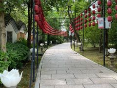 -印象普陀