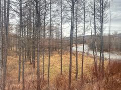 -莫尔道嘎国家森林公园