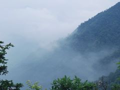 -东天目山风景区