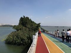 -贡湖湾湿地公园