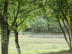 -两河城市森林公园