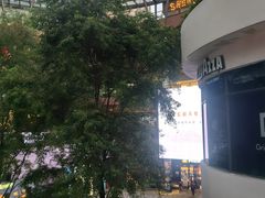 -瑞虹新天地月亮湾