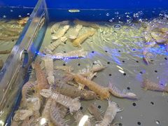-澜悦港海鲜体验主题餐厅