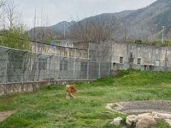 -西安秦岭野生动物园