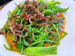 菌香水性杨花-尽善百年古院餐厅(王家老宅店)