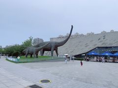 -安徽省地质博物馆