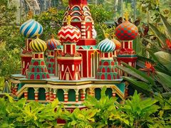 -南宫五洲植物乐园