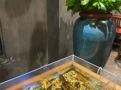 -新盈光·旗舰店(海曙苍松路店)