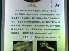 -上海昆虫博物馆