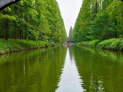 -黄海国家森林公园