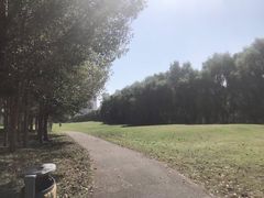 -长白岛森林公园