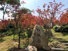 -广州市帽峰山景区