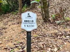 -华侨城湿地公园
