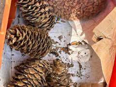 -东北菜冰城一家人