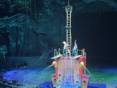 -广州长隆国际大马戏