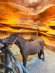 -酷嗒动物文化乐园(cutezoo西溪乐天城店)