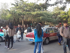 游乐设施-八大关景区